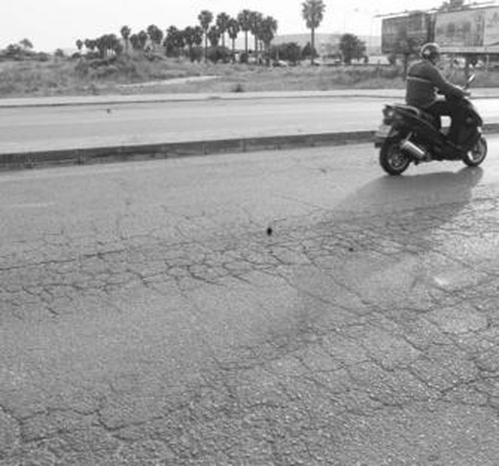 Imagen de los terrenos que el Ayuntamiento vendió a Roseworld.