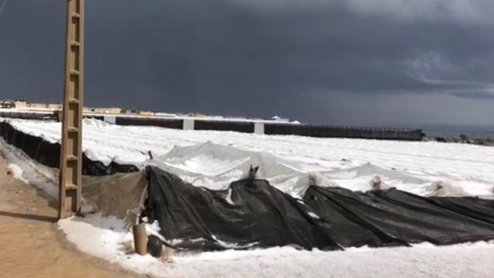 Imagen de uno de los muchos invernaderos dañados