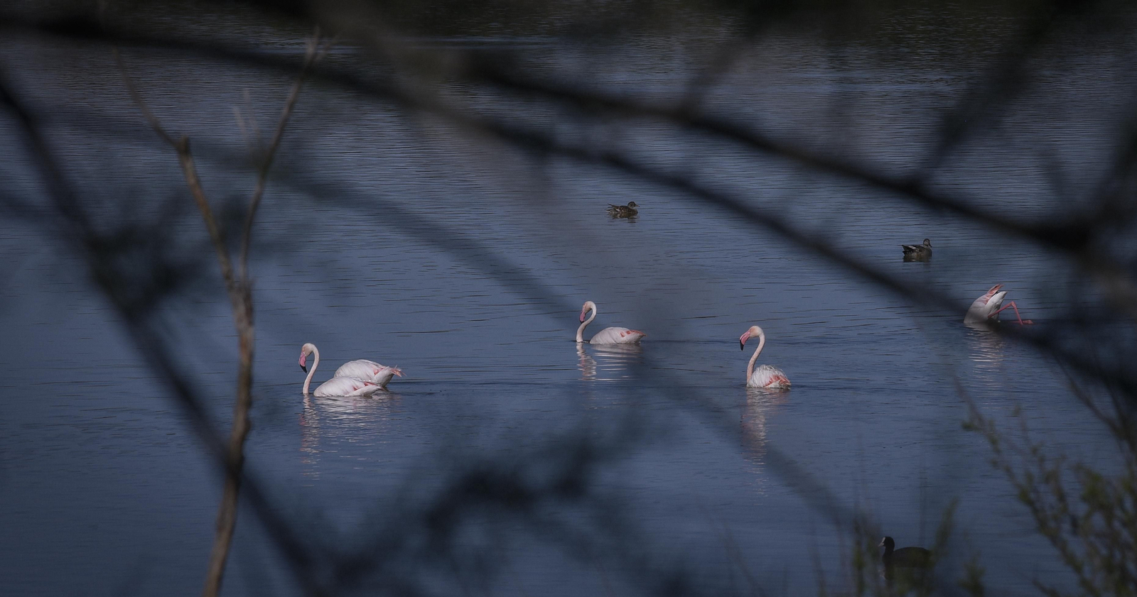La resistencia en los pueblos de Sevilla al Coronavirus: Lantejuela