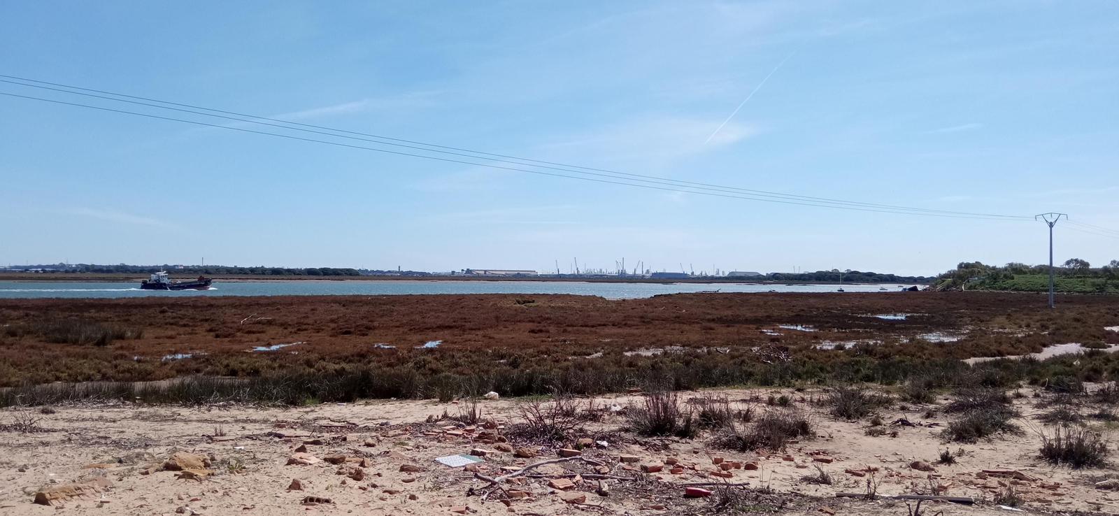 Las imágenes de la ruta de las salinas del Astur y los pinares de Punta Umbría