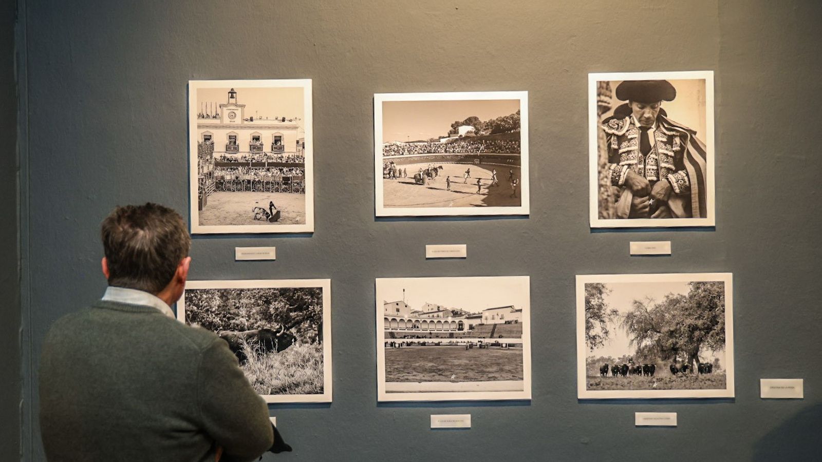 Exposición Miradas, Trazos y Estilo