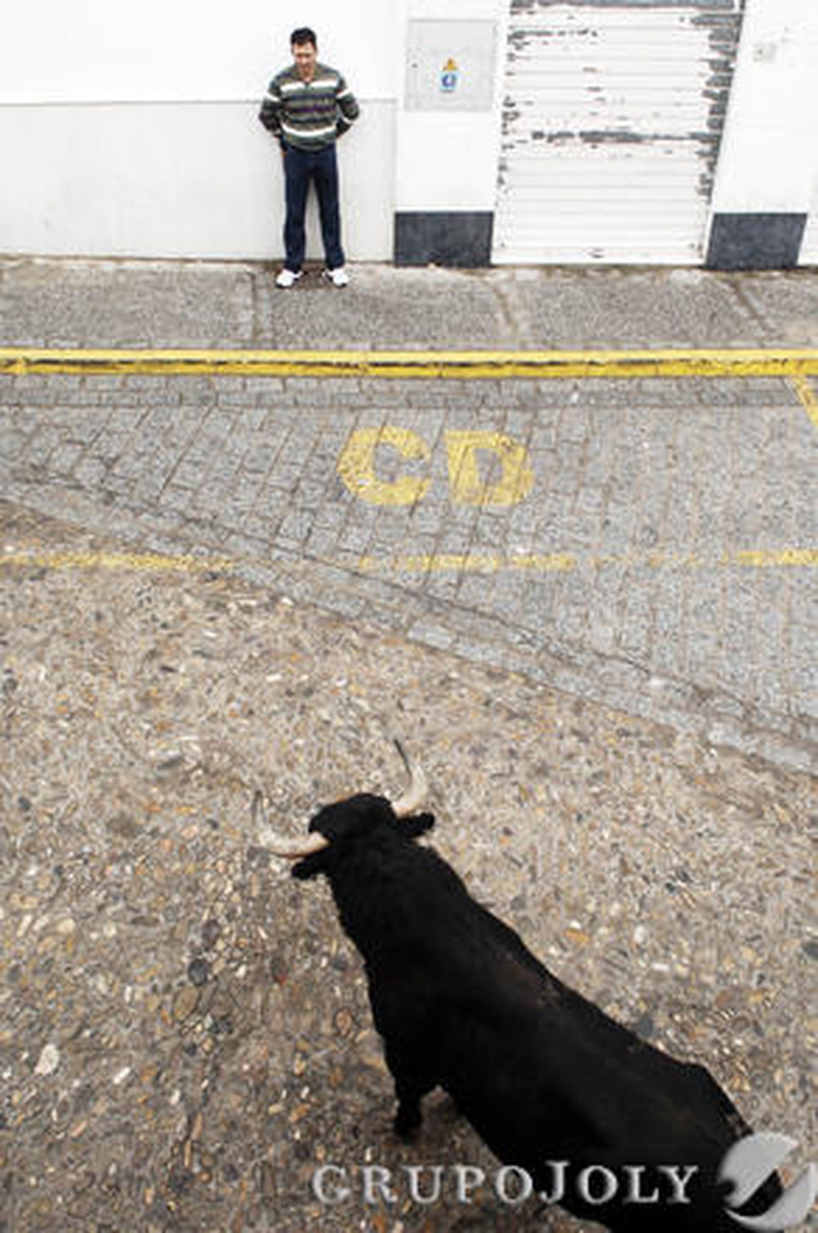 Un hombre resultó herido grave por una fuerte cornada en el abdomen en Arcos. Vejer, Paterna o Benamahoma también vivieron su fiesta

Foto: Ramon Aguilar