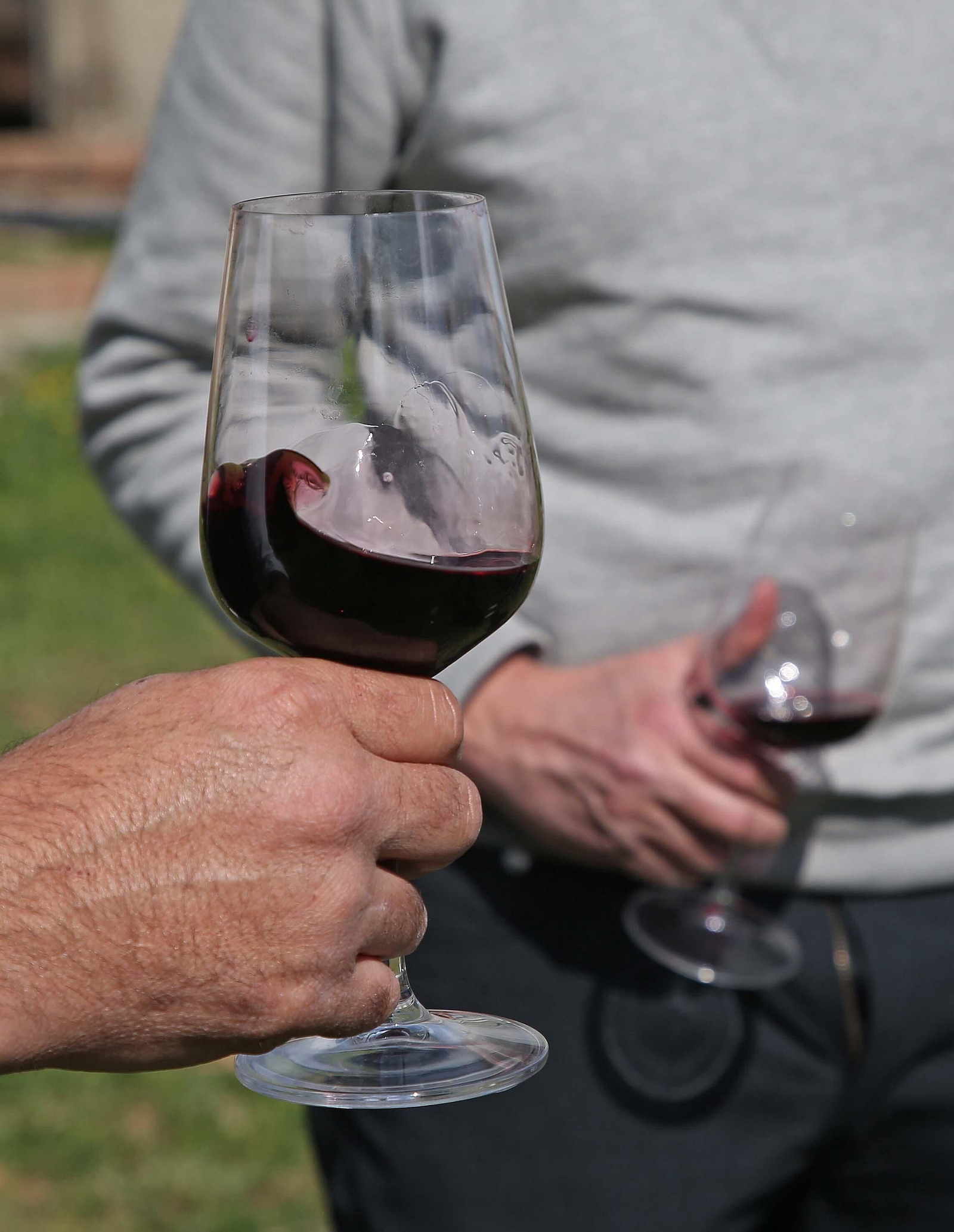 Fotos del lugar donde se produce Ribera de Hozgarganta, el primer vino del Campo de Gibraltar