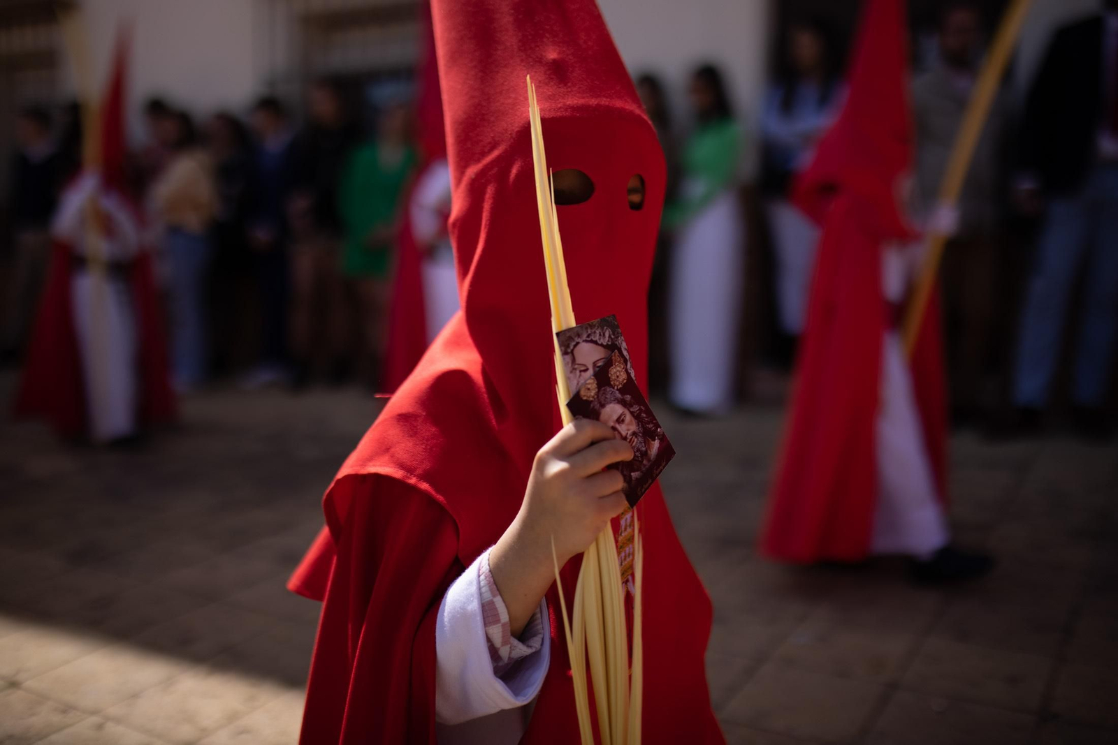 Imágenes del Domingo de Ramos: Hermandad de la Borriquita