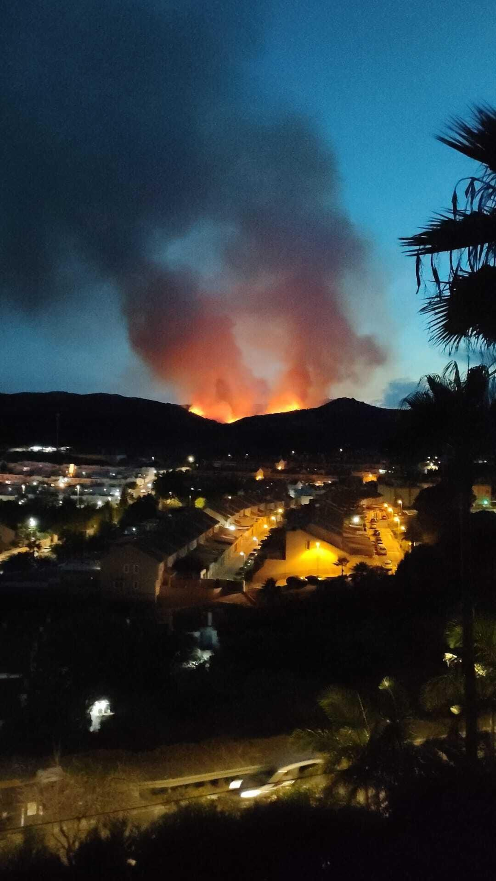Las fotos del incendio entre las Pantallas y la Marchenilla, en Algeciras