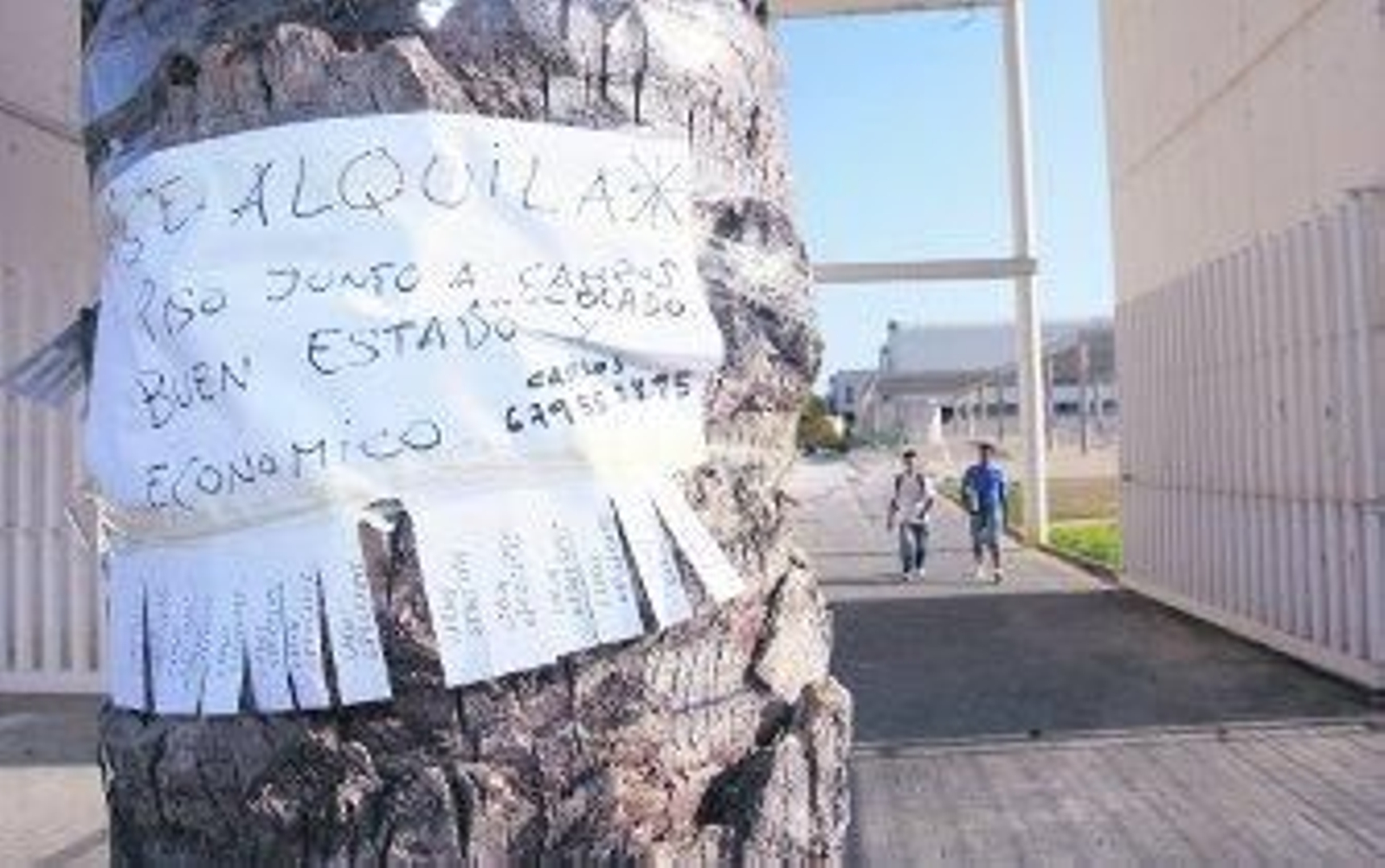 La demanda de alquileres ha crecido un 40% desde enero