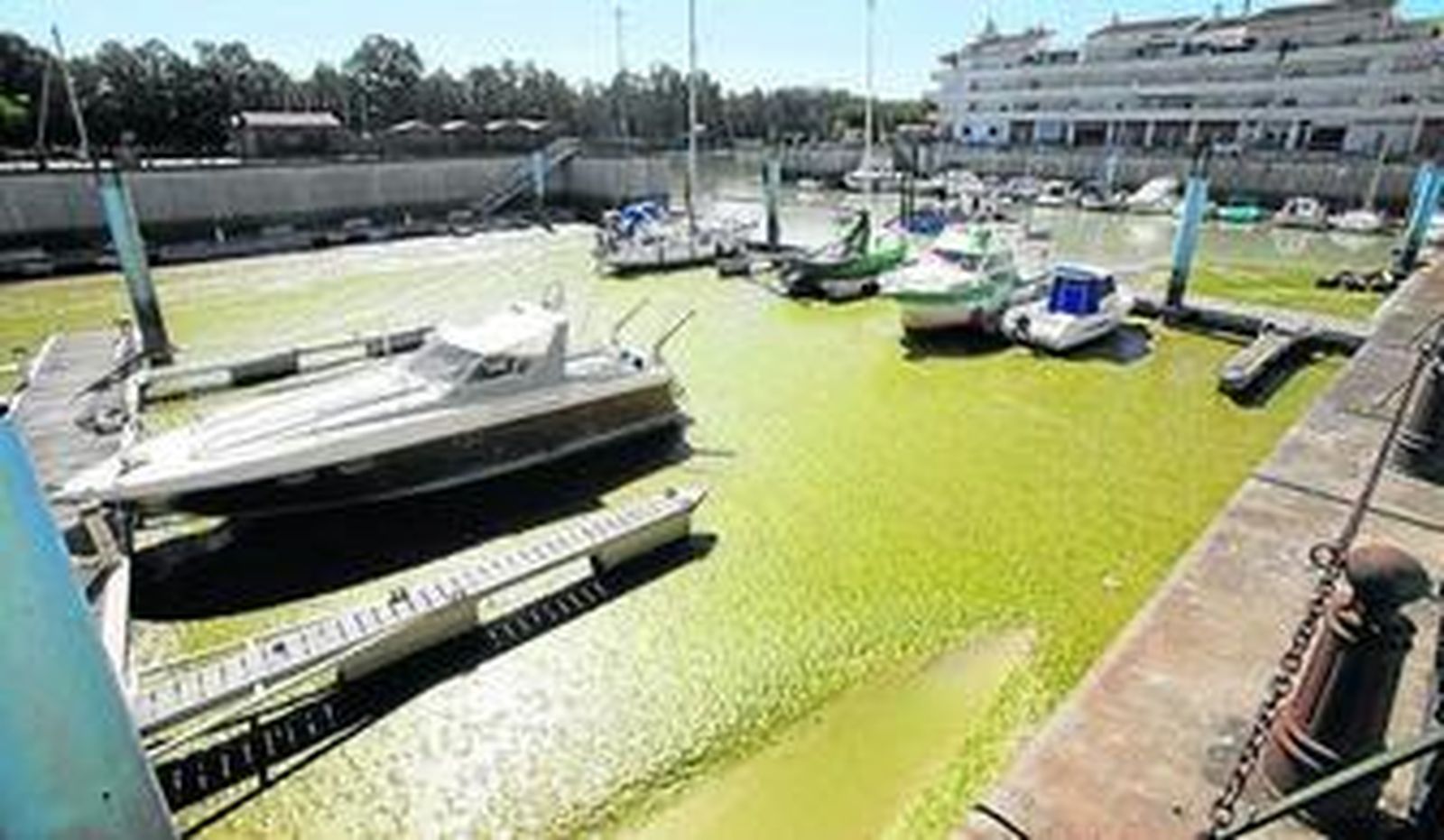 El lodo acumulado en el Puerto de Gelves está siendo retirado desde finales de junio por un barco-draga.