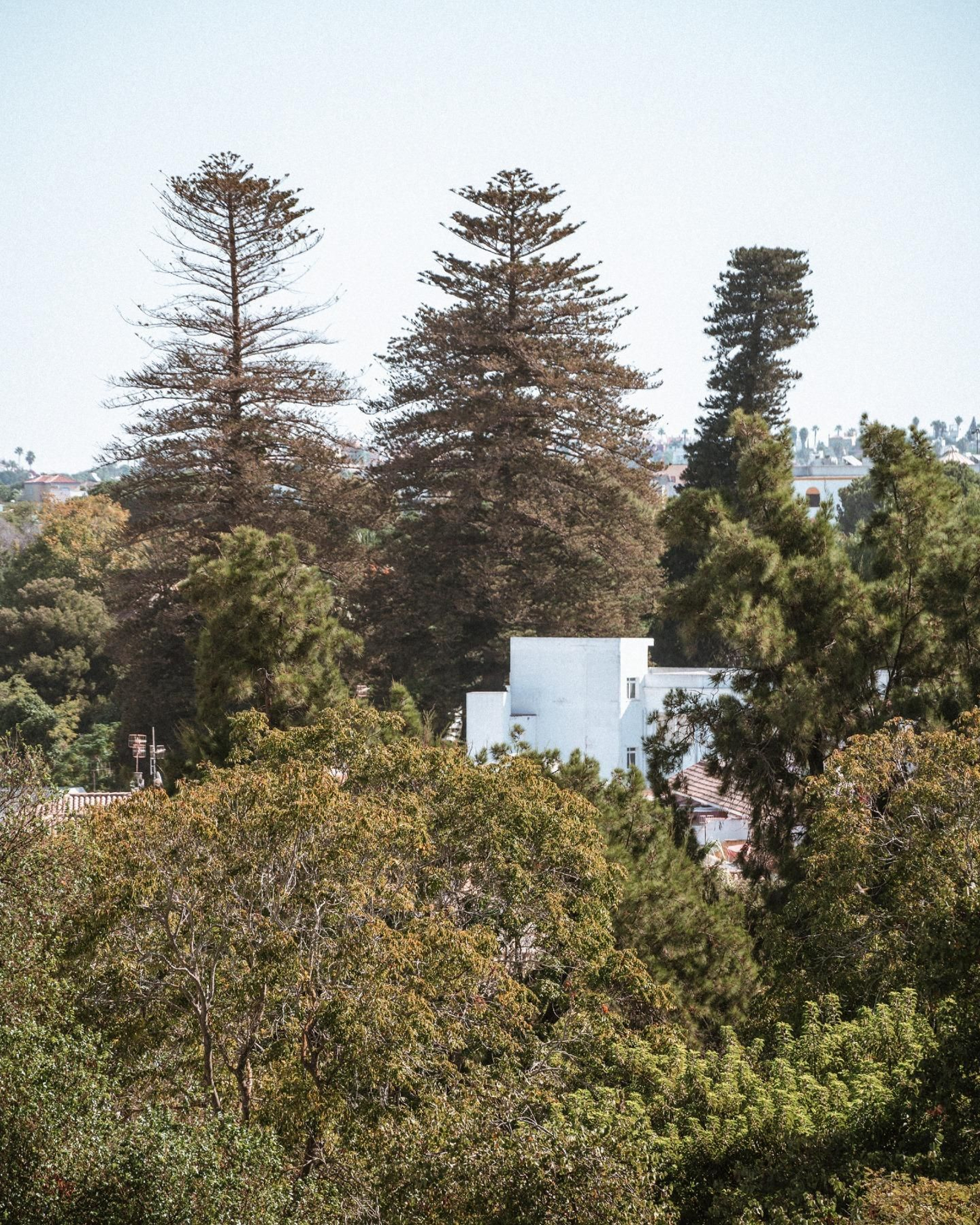 Horizonte del pueblo de Sanlúcar.