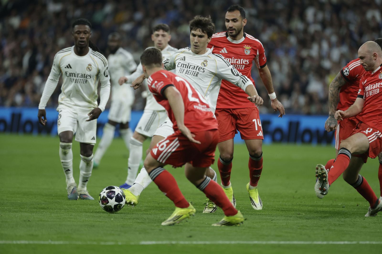 Las fotos del Real Madrid-Benfica