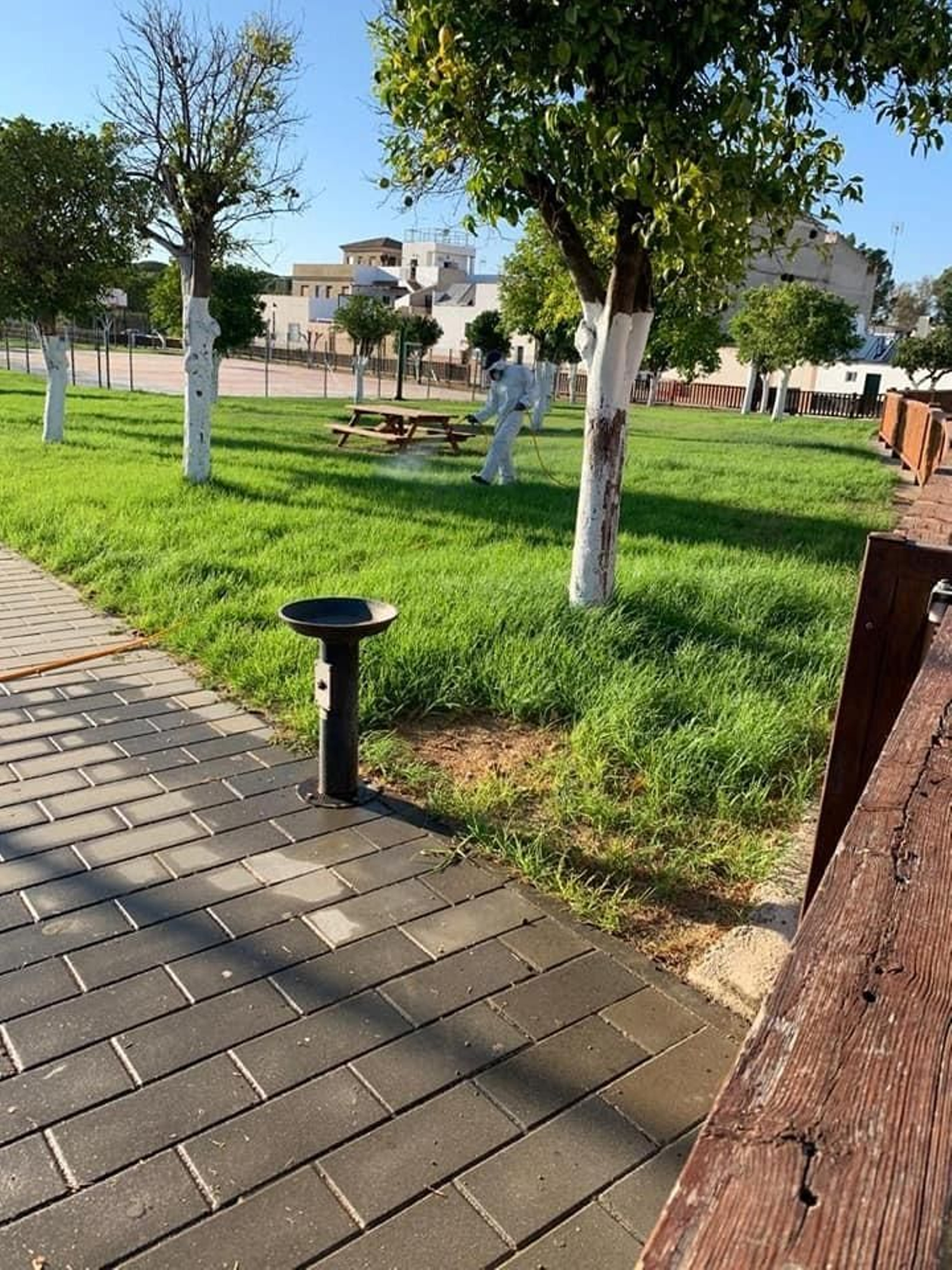 Fumigando en el parque Donantes de Órganos de La Puebla del Río. Fumigando en el parque Donantes de Órganos de La Puebla del Río.