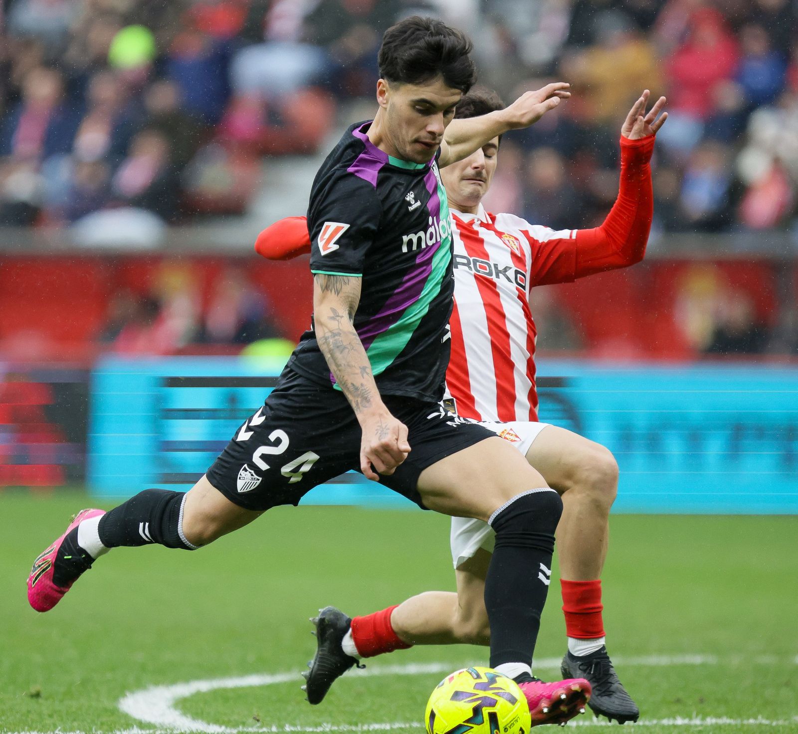 El Sporting-Málaga CF, en fotos