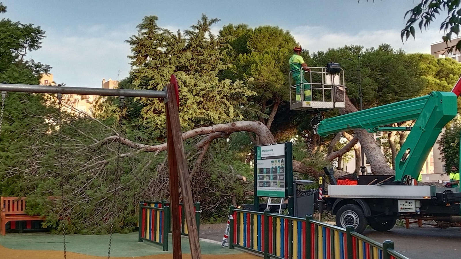 Operarios de parques y jardines, durante las tareas de retirada del árbol caído en el parque Sacramento, en San Fernando