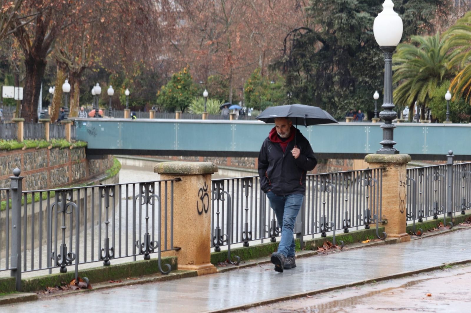 WhatsApp Image 2026-02-04 at 11.19.05