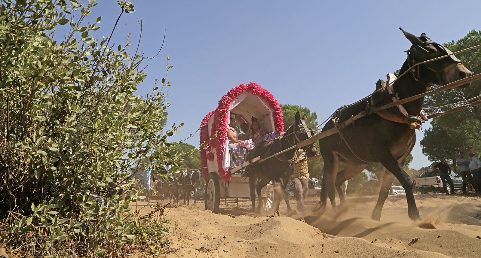 Las imágenes de la segunda jornada de camino de la Hermandad de Jerez