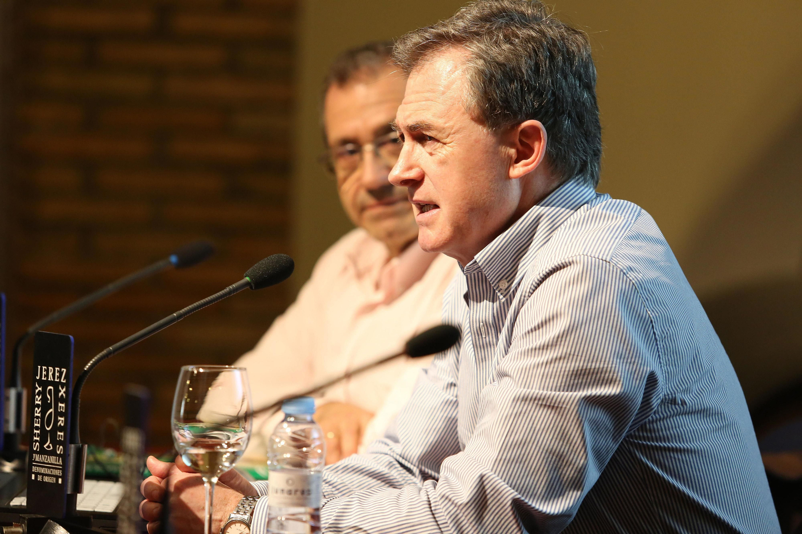 Intervención ayer en el Consejo de Enrique Montañés Primicia.