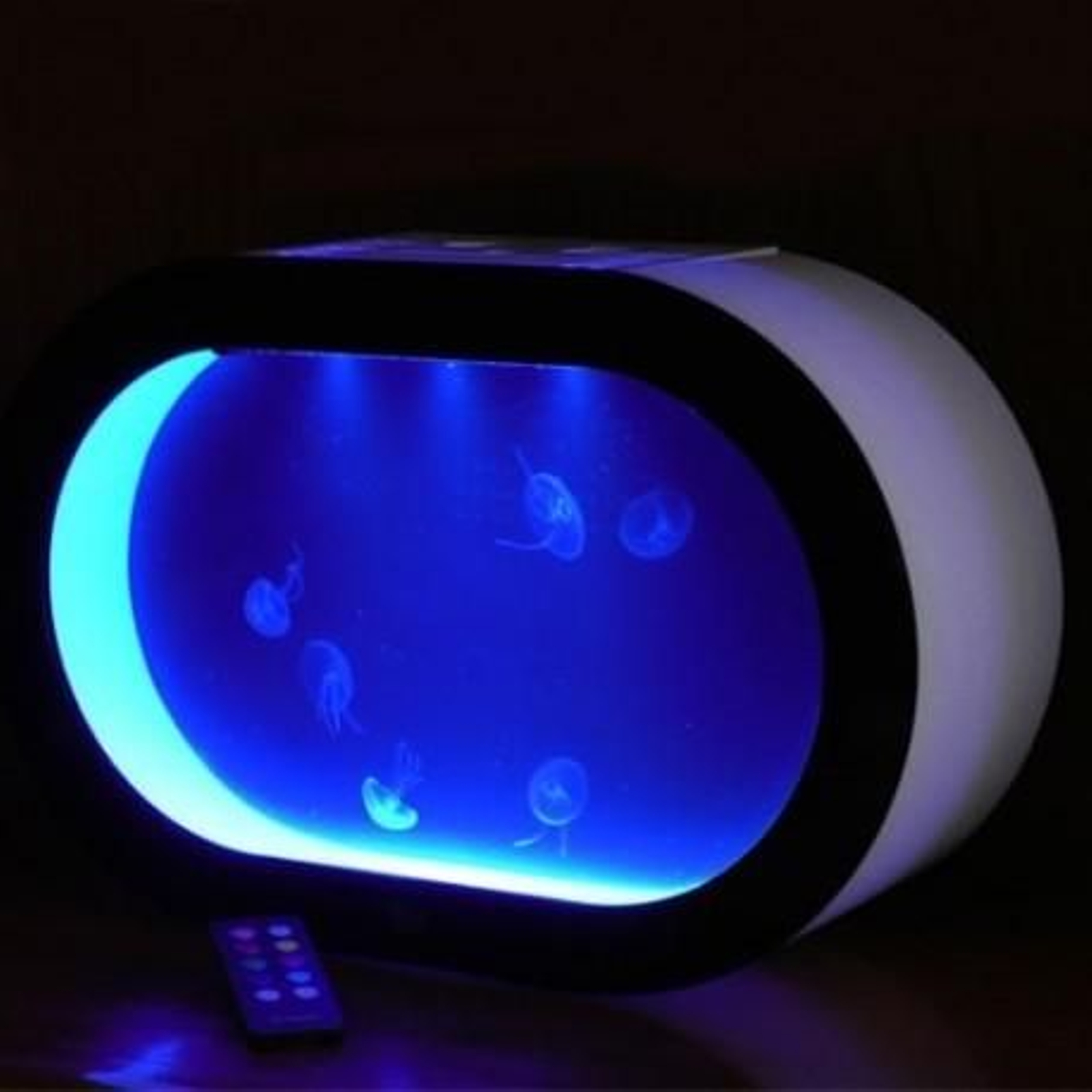 Un acuario para medusas