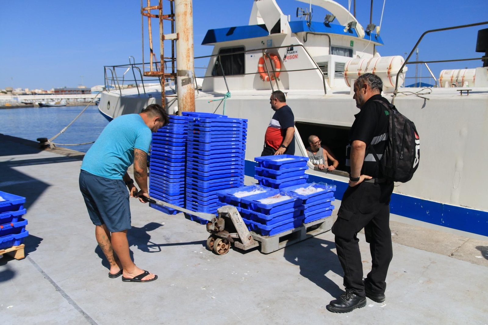 Vea cómo se descargan y se venden en la lonja la Gamba Roja de Almería