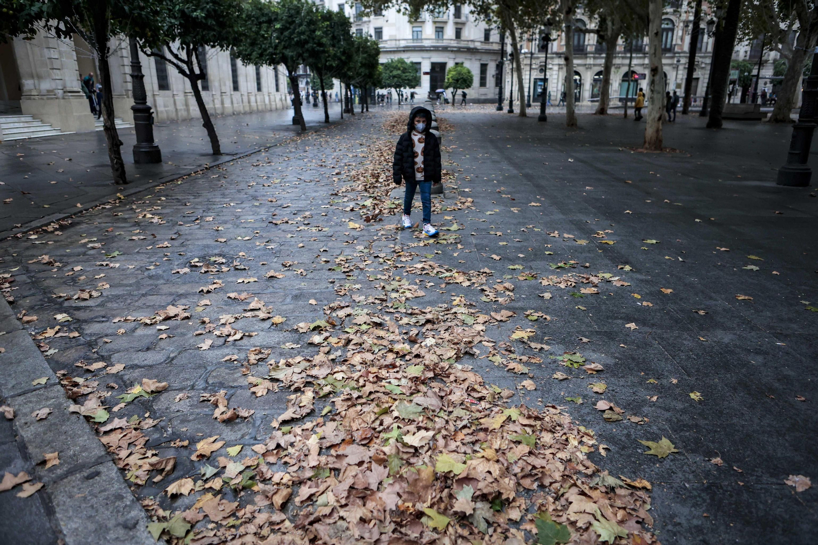 Estampa otoñal en la Plaza Nueva de  Sevilla.