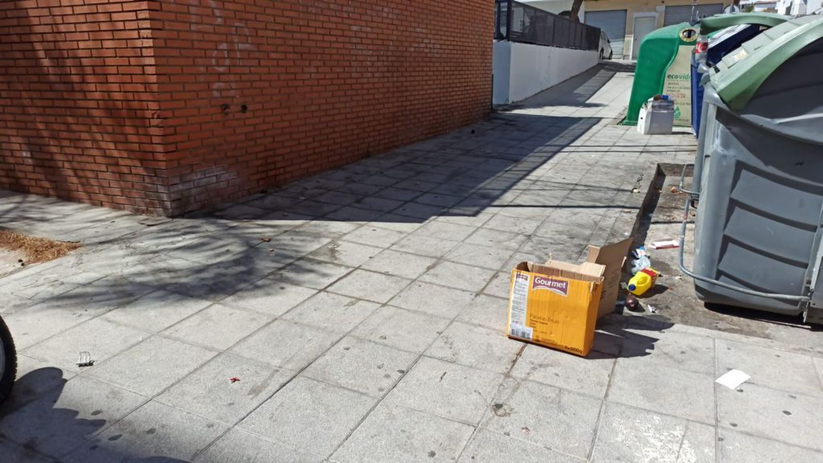 Denuncia falta de limpieza y proliferación de cucarachas y pulgas en distintas calles de Motril