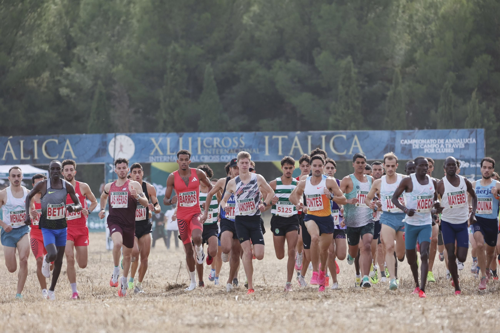 Las mejores imágenes del Cross de Itálica