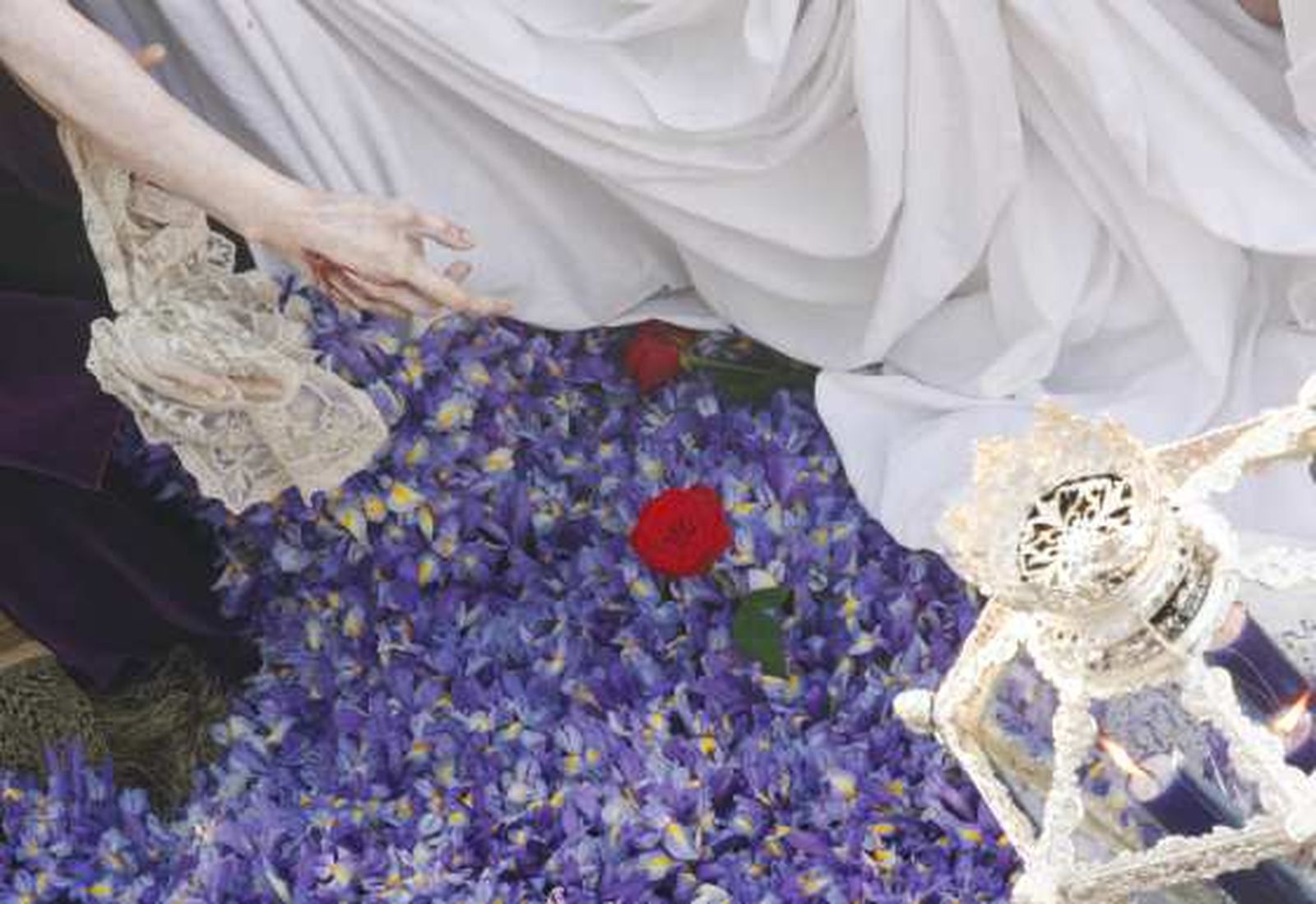 Detalle de la rosa roja sobre un monte de lirios morados.

Foto: Victoria Hidalgo