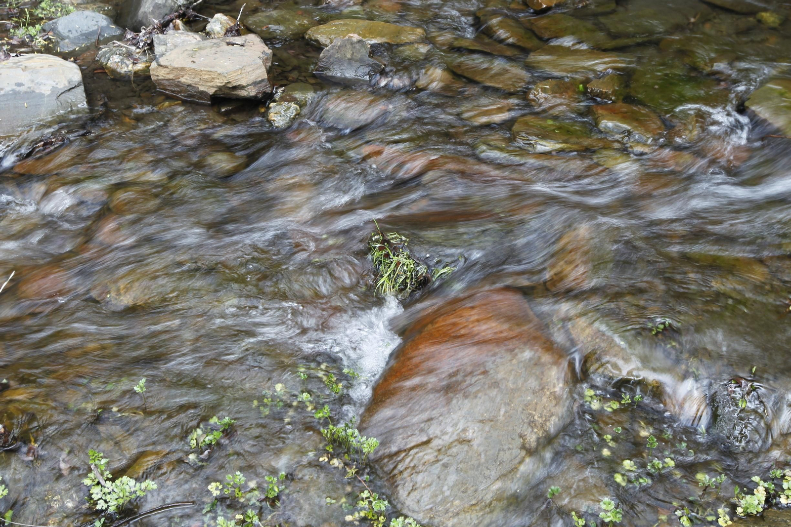 Naturaleza desconfinada. La Roza (Abrucena)