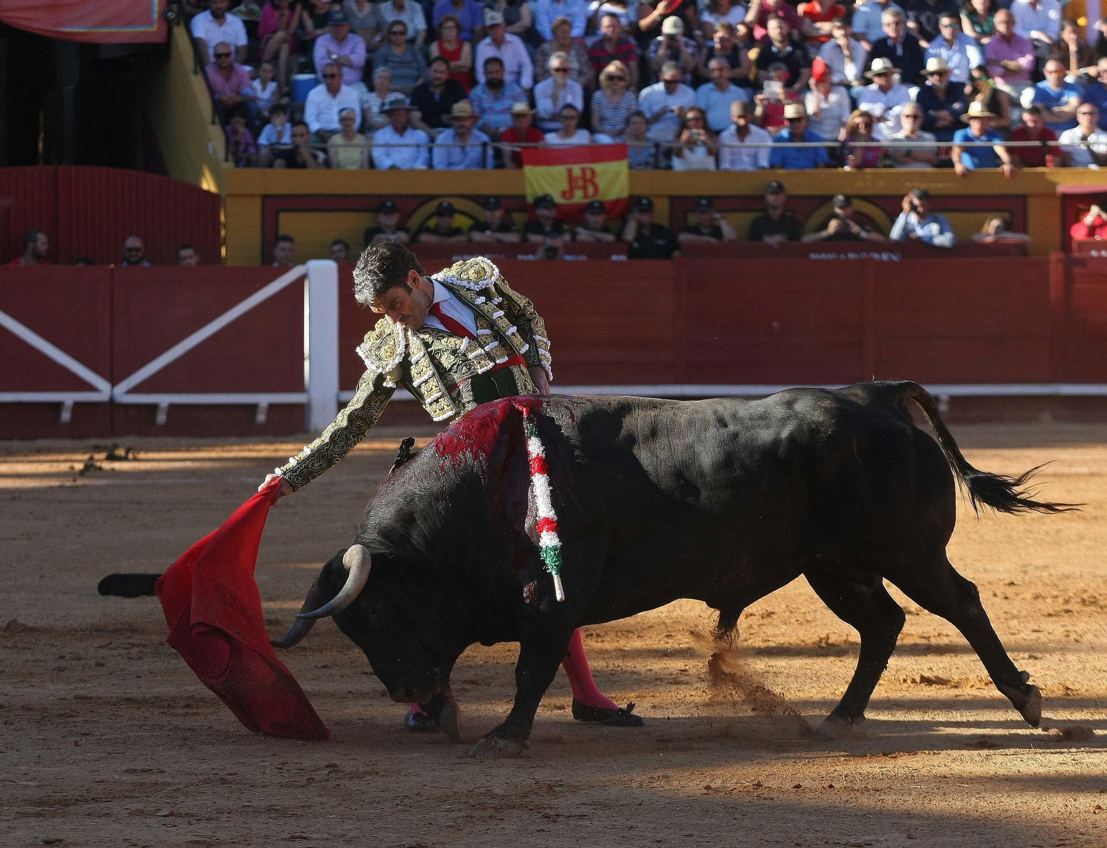 Las imágenes de la reaparición de José Tomás en Algeciras
