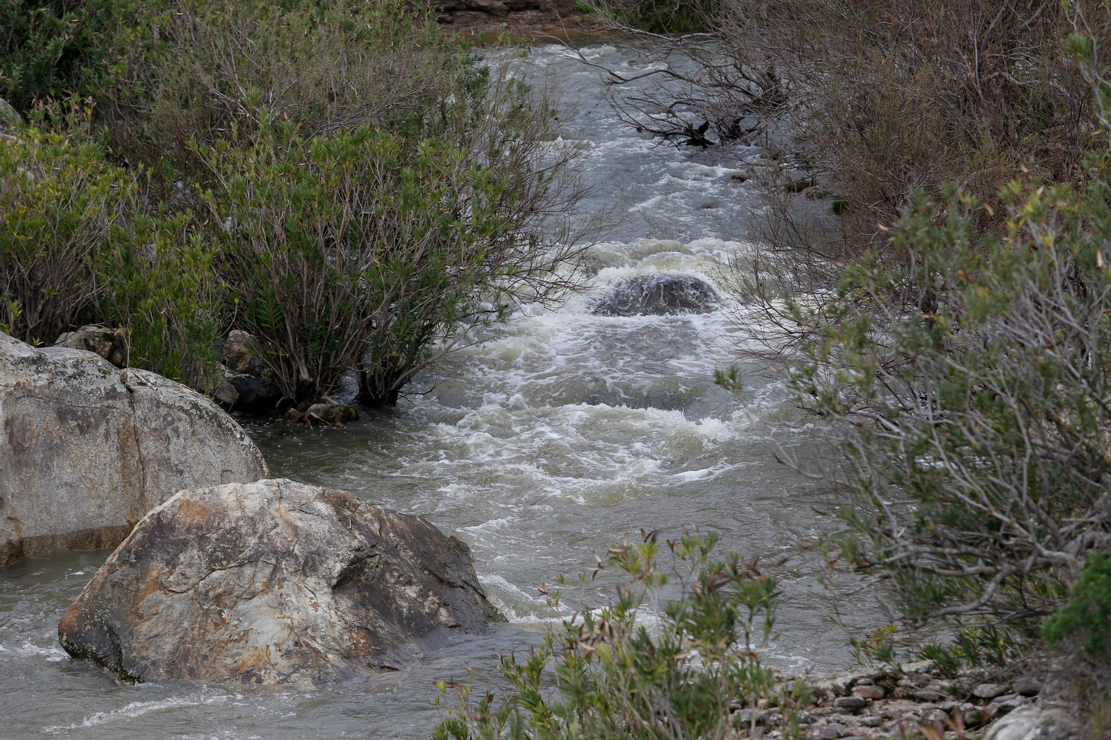 Fotos de los ríos del Campo de Gibraltar tras las últimas lluvias
