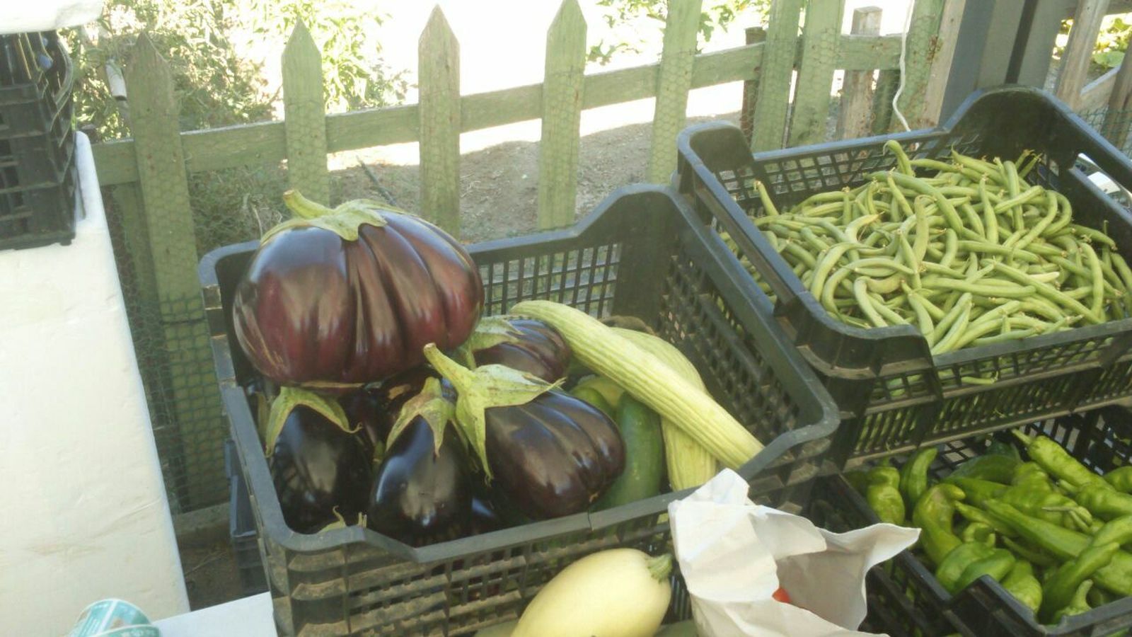 Las hortalizas obtenidas son para autoconsumo.