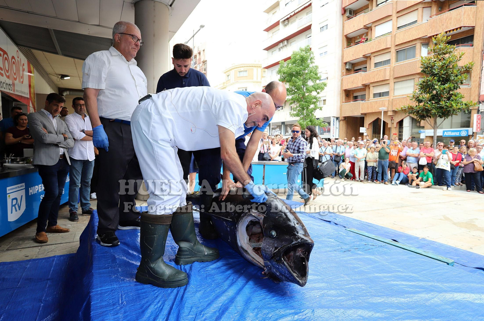 Imágenes del Ronqueo del Atún en el mercado de Huelva