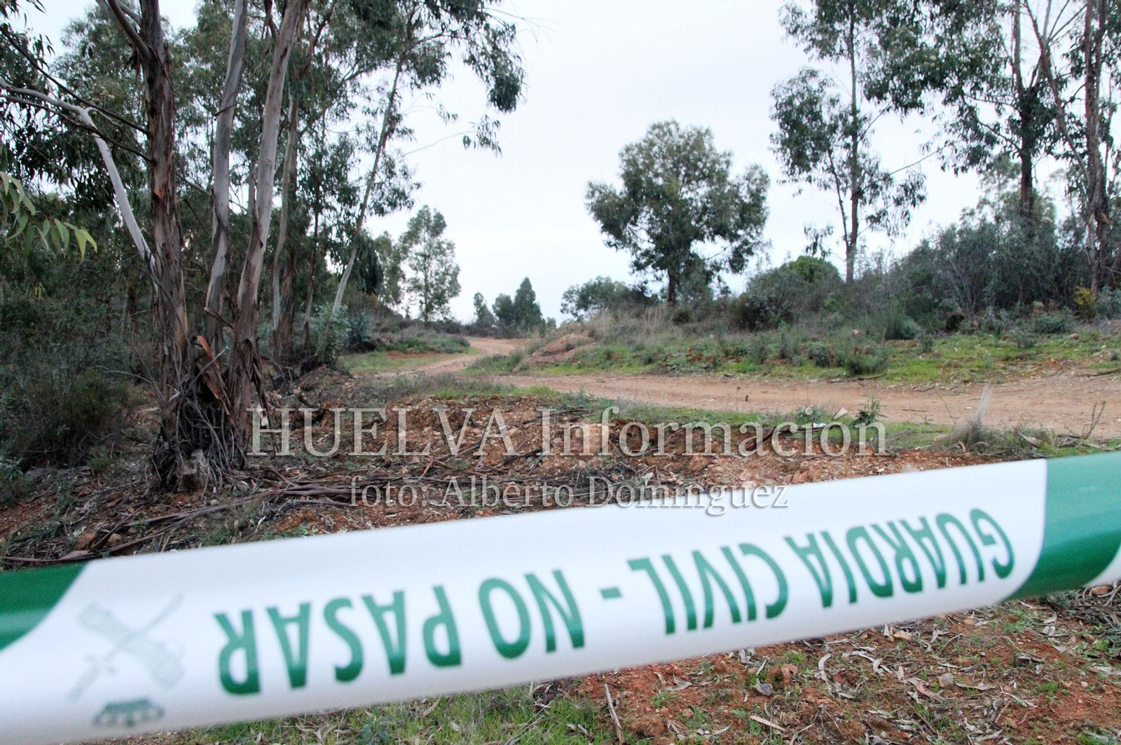 Registro de la casa de Bernardo Montoya, en imágenes