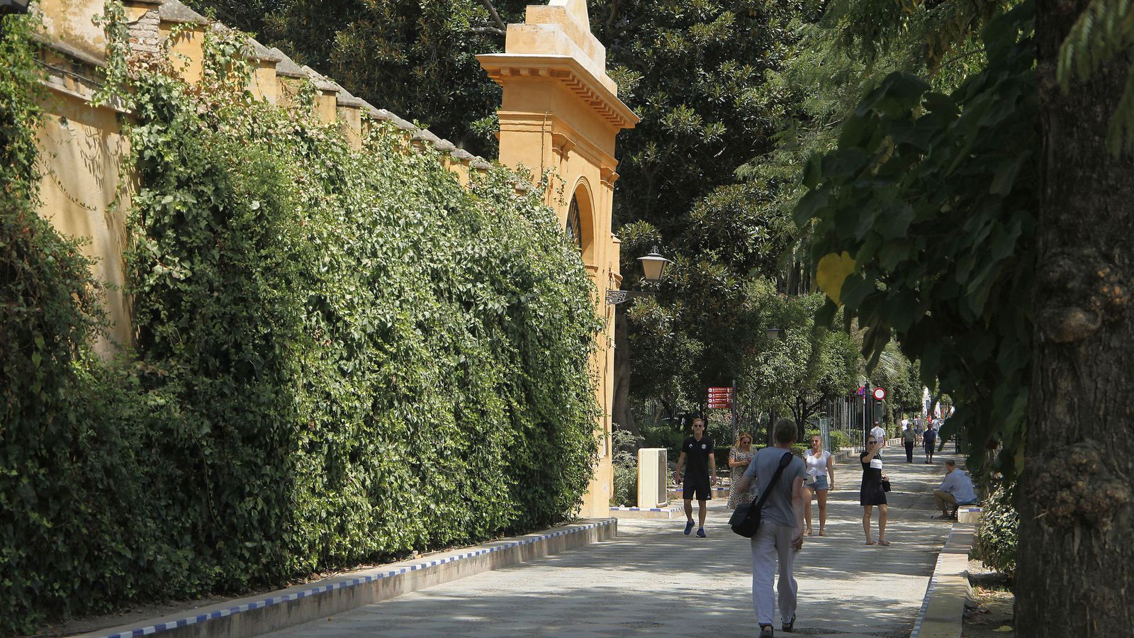 El Paseo de Catalina de Ribera.