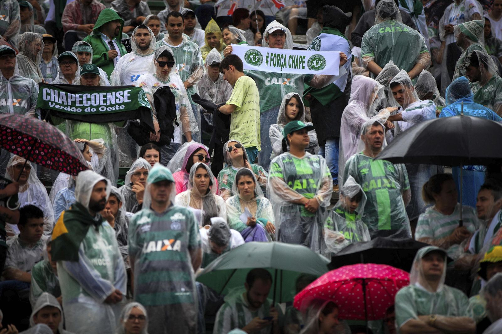 Aficionados en las gradas del estadio arena Conda en Chapeco