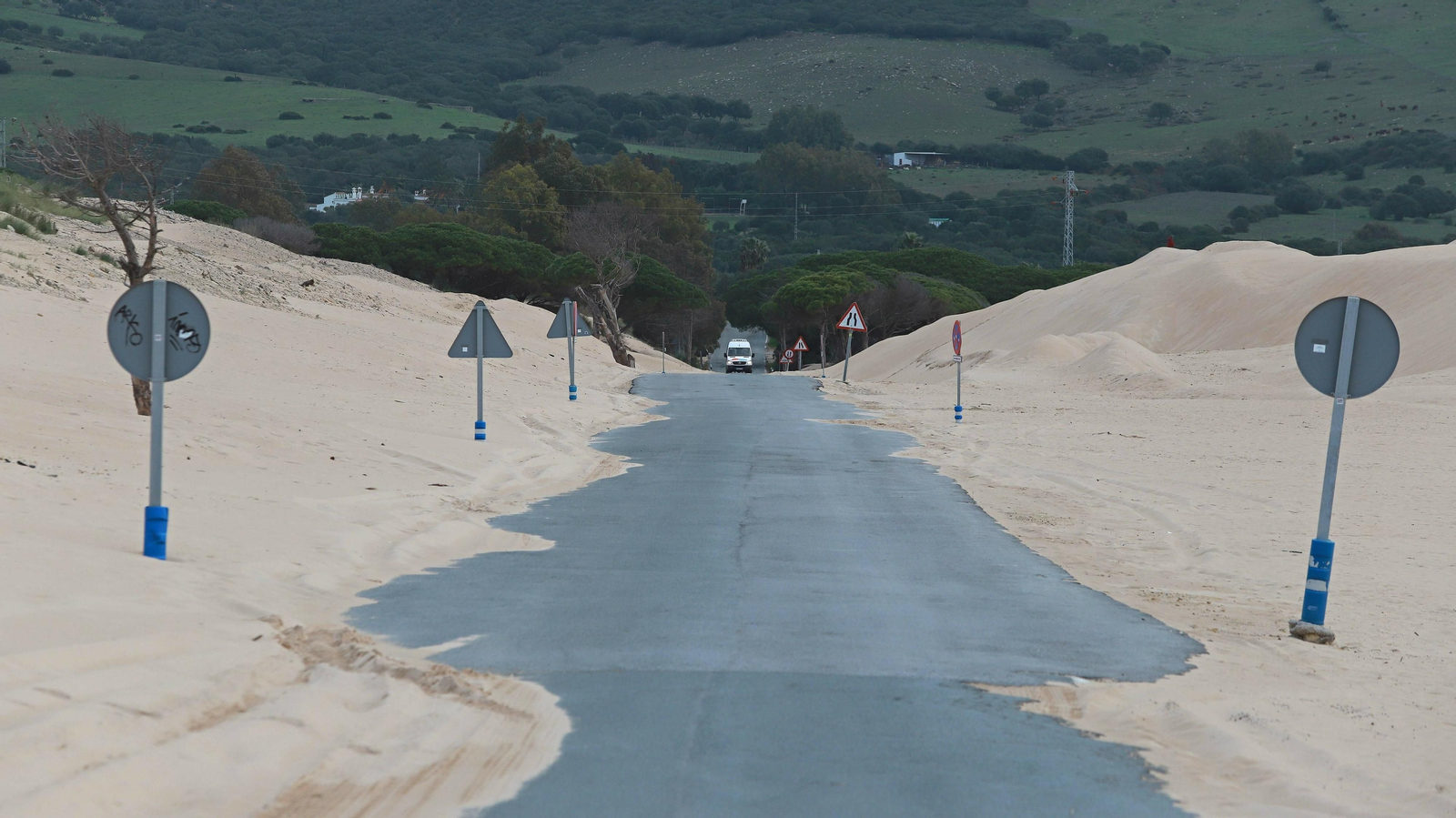 Las mejores fotos de Paloma Baja