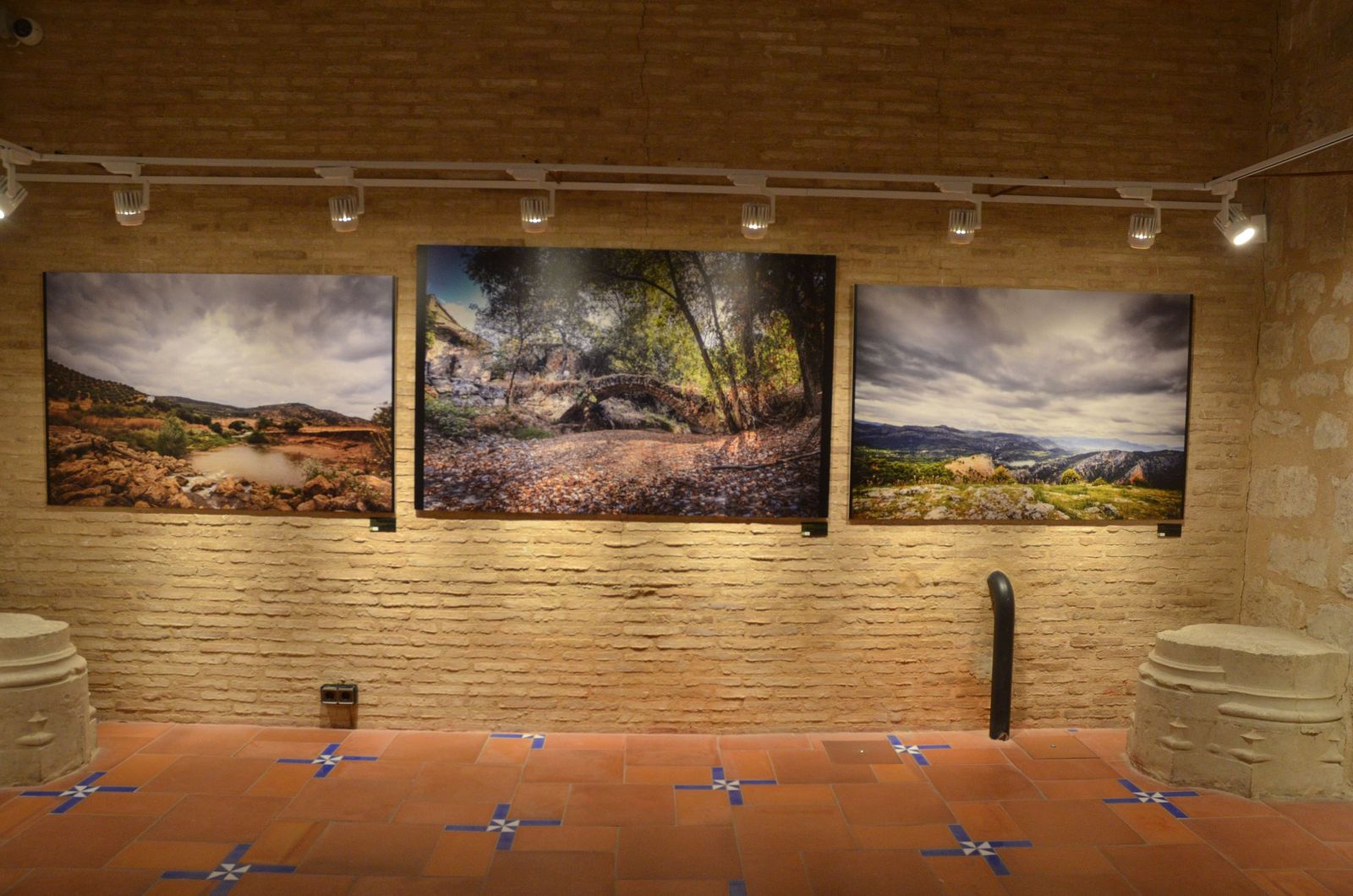 Viajar por Jaén sin moverse de la sala: la exposición ‘Paisajes’ que invita a caminar el territorio, en imágenes