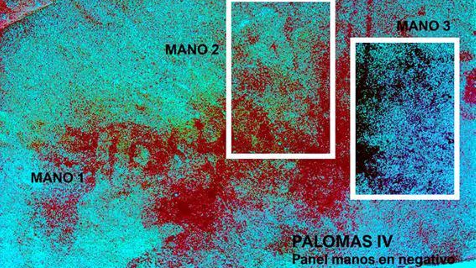 Palomas IV, Panel de manos en negativo.