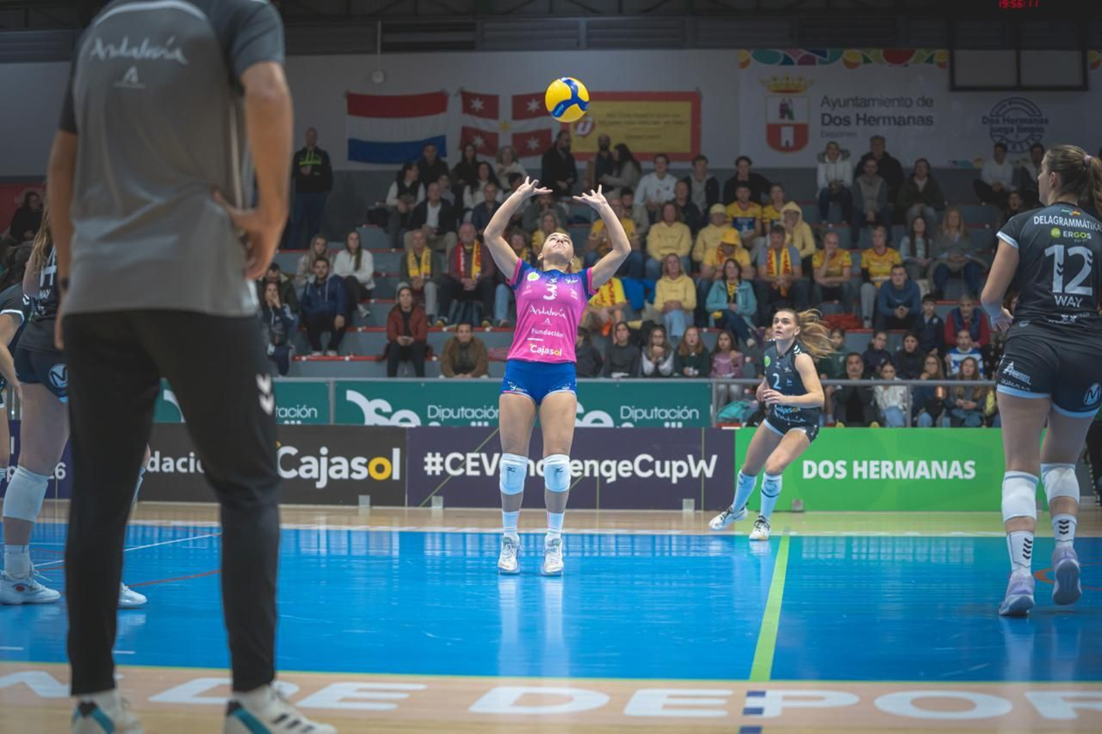 Las fotos del Fundación Cajasol Andalucía-Dynamo Apeldoorn