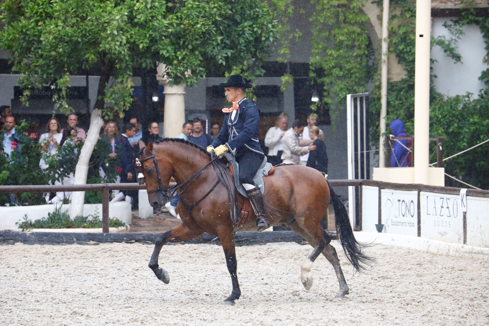 La celebración de la VI Copa de España de Alta Escuela en Córdoba, en imágenes