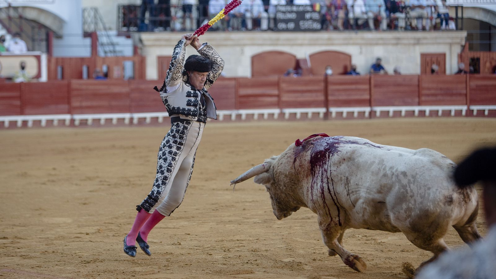 La corrida de toros en el Puerto de Santa María, con Morante de Puebla en solitario, en imágenes.