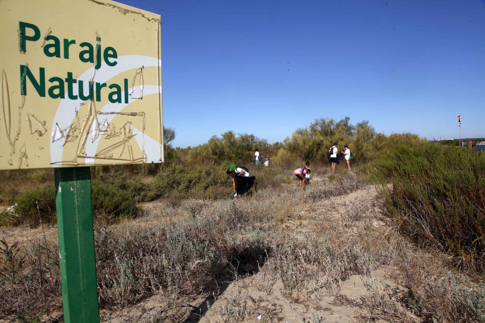 Anterior limpieza de La Flecha de forma colectiva