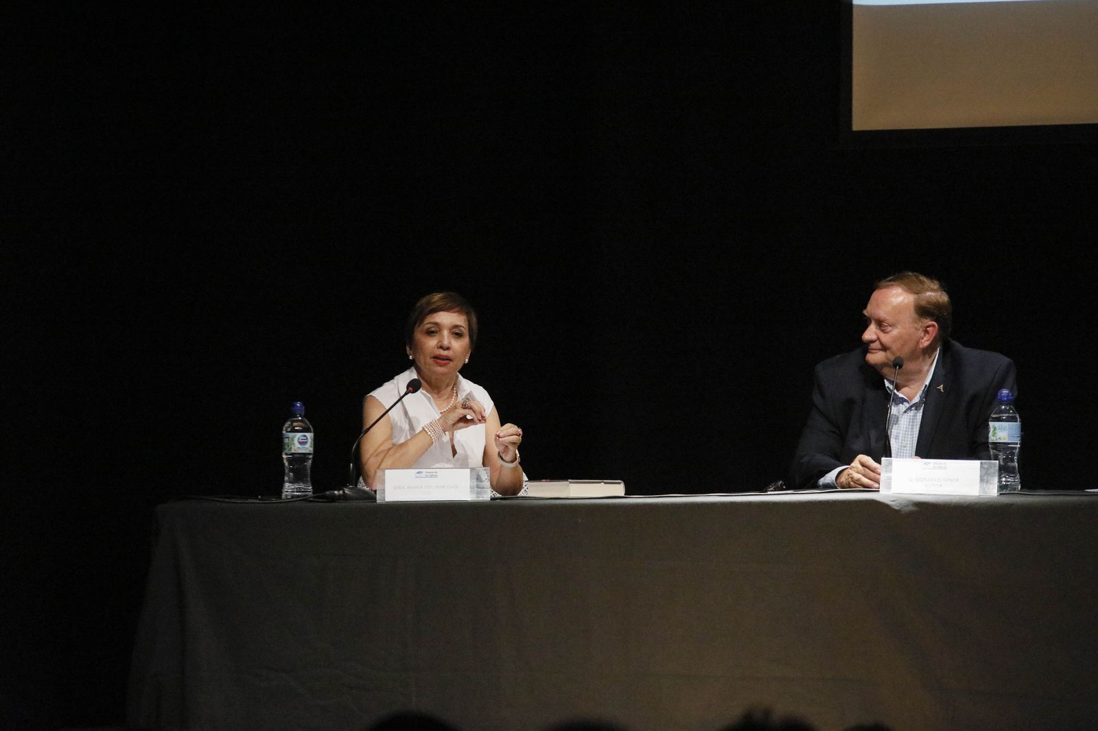Imágenes del libro "La sombra de los sueños" de Gonzalo Giner