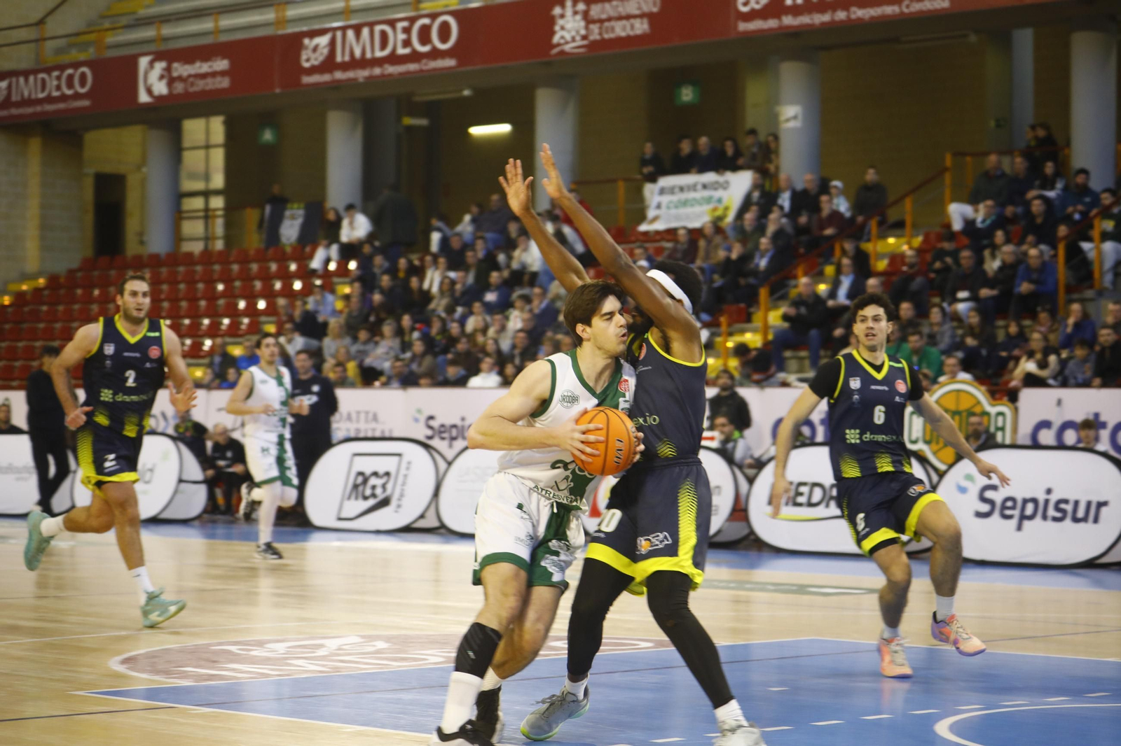 Las mejores fotos del ambiente en Vista Alegre para el Coto Córdoba - UDEA Algeciras