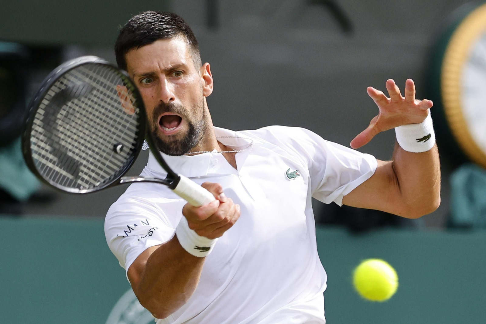 Las fotos de Wimbledon con las clasificaciones de Djokovic y Sinner