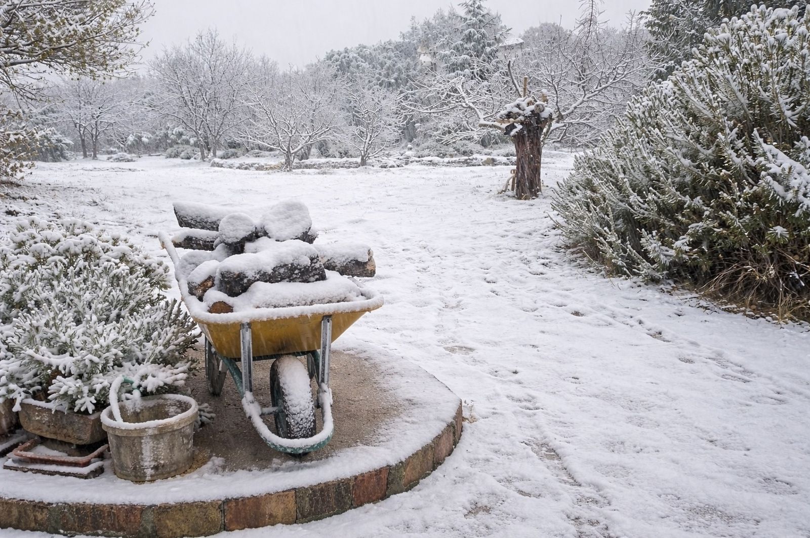La nieve cubre el entorno de Cabañas Imagina, en Torres (Sierra Mágina), dejando una estampa invernal perfecta para una escapada de blanca Navidad en la provincia de Jaén.