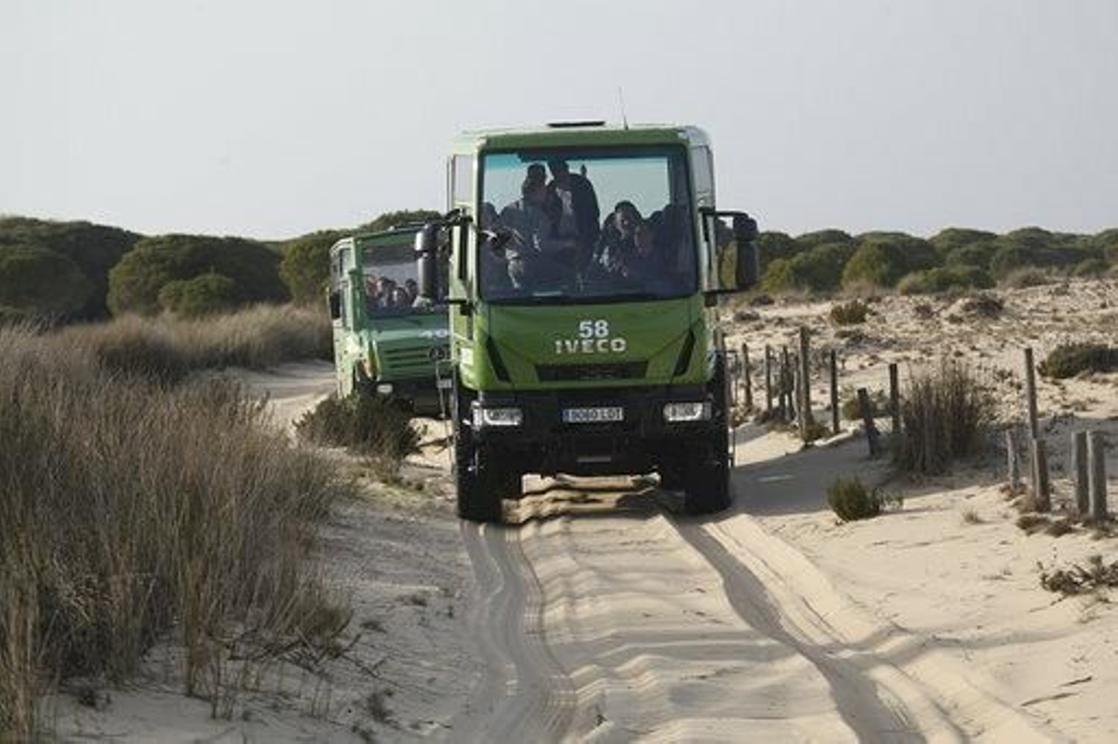 Imágenes de Don Felipe y Doña Letizia en su visita a Doñana