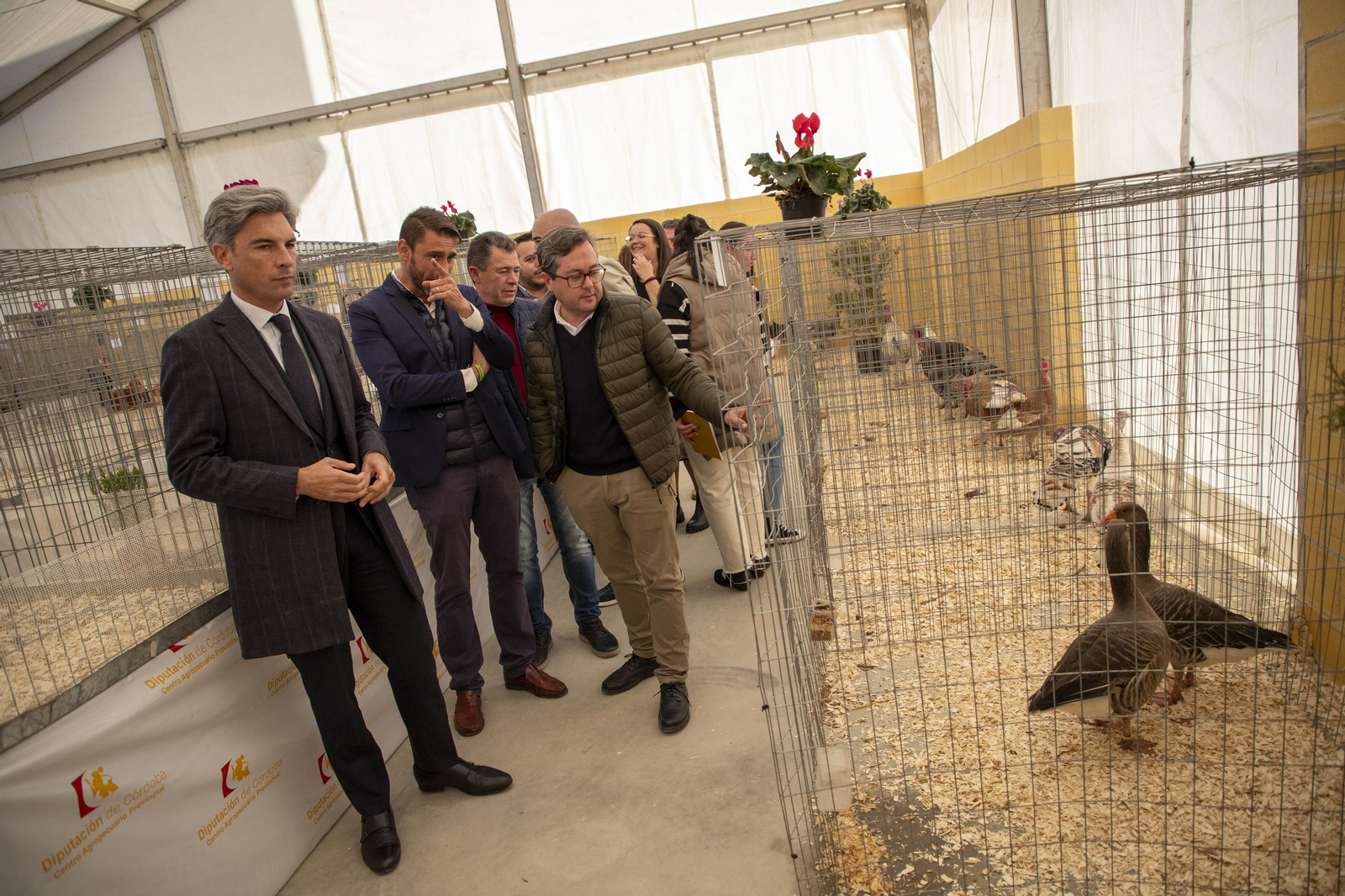 Un paseo en fotografías por Avicor, la Feria Avícola de Córdoba