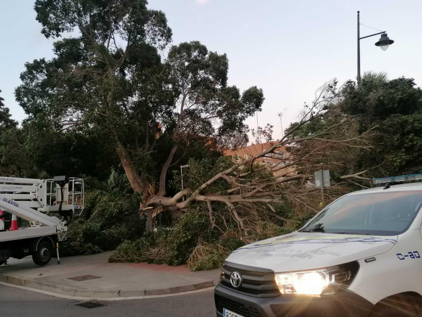 Las imágenes más impactantes del temporal de viento en Almería