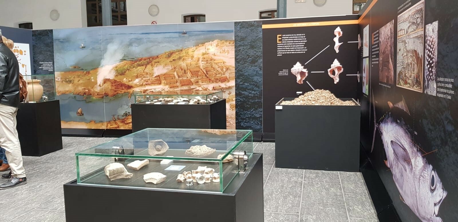 Parte del material expuesto en la muestra.