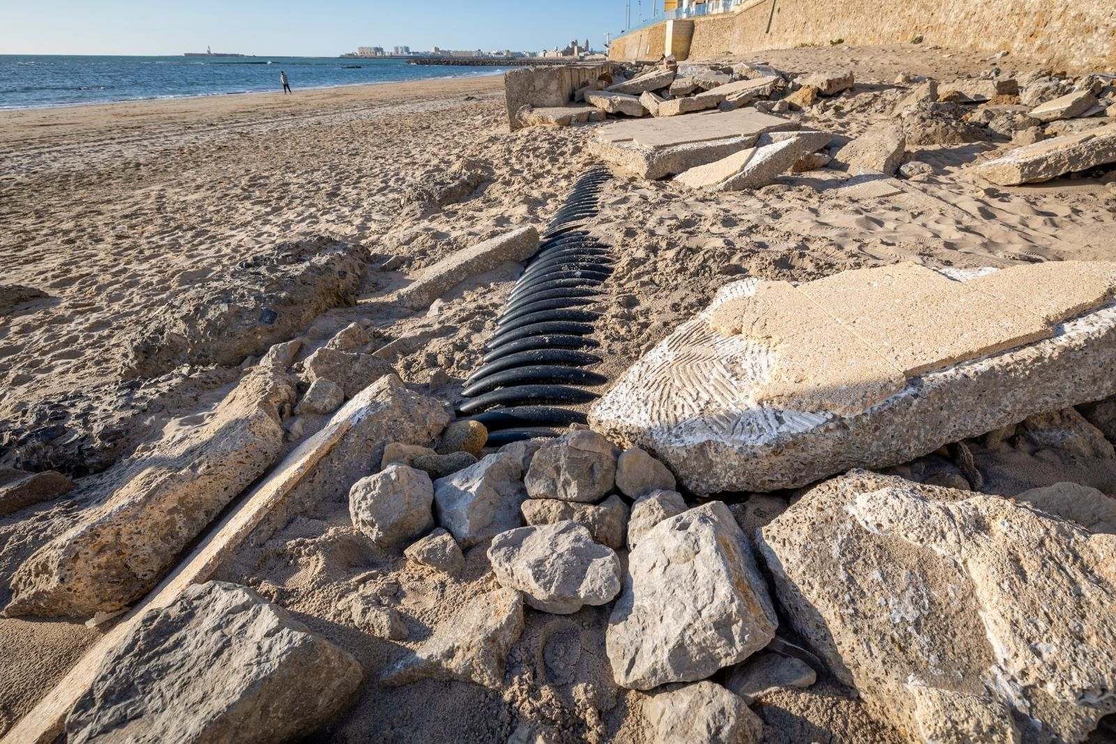 Las imágenes del lamentable estado de este tramo de la Playa Victoria