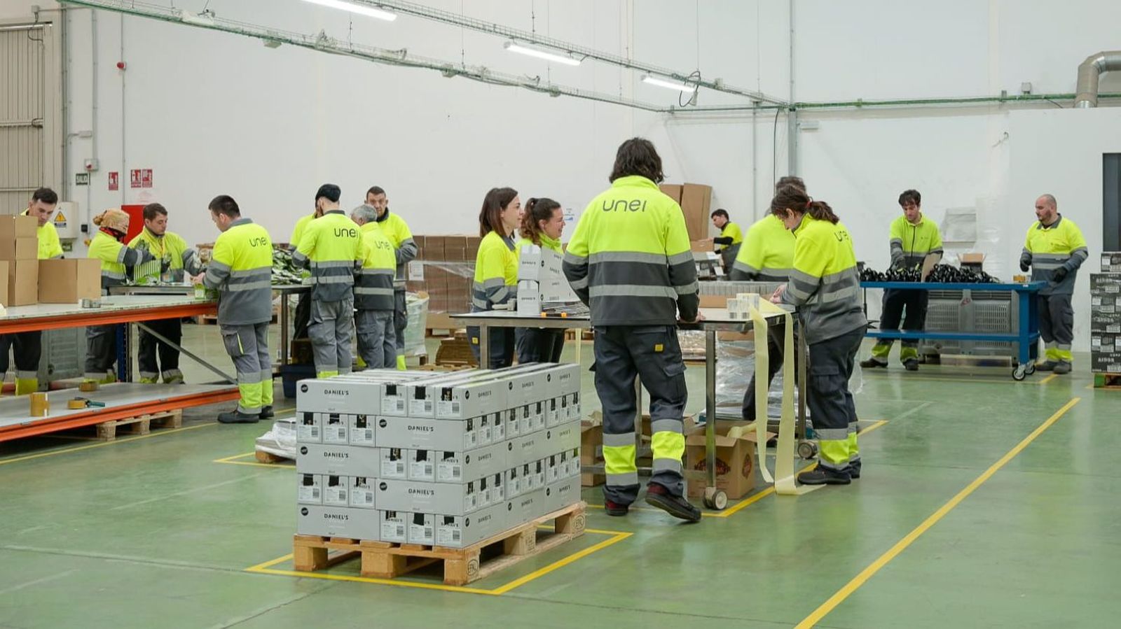 Trabajadores de Unei